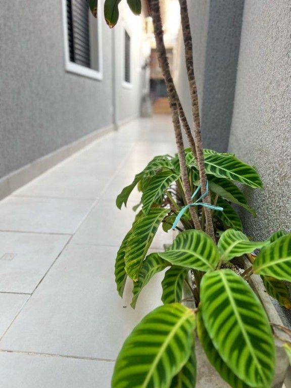 Casa, 3 quartos, 116 m² - Foto 22