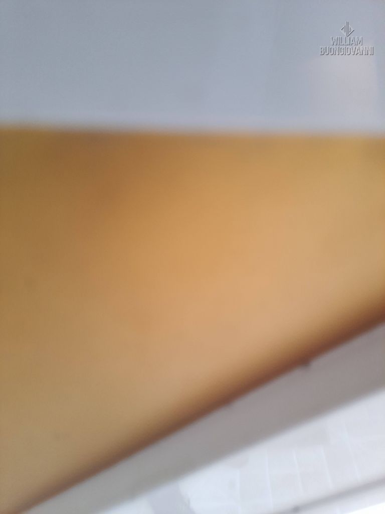 Casa, 3 quartos, 124 m² - Foto 31