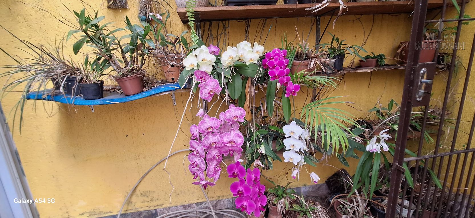 Casa, 4 quartos, 196 m² - Foto 7