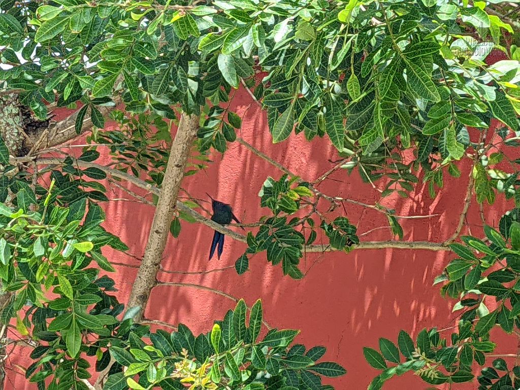 Casa, 4 quartos, 232 m² - Foto 11