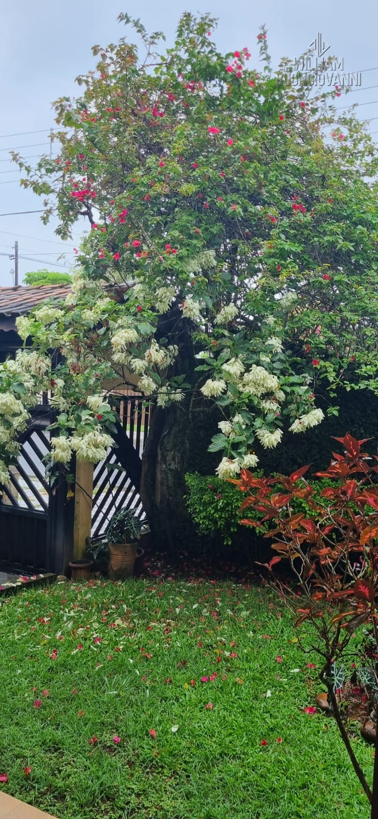 Casa, 7 quartos, 245 m² - Foto 2