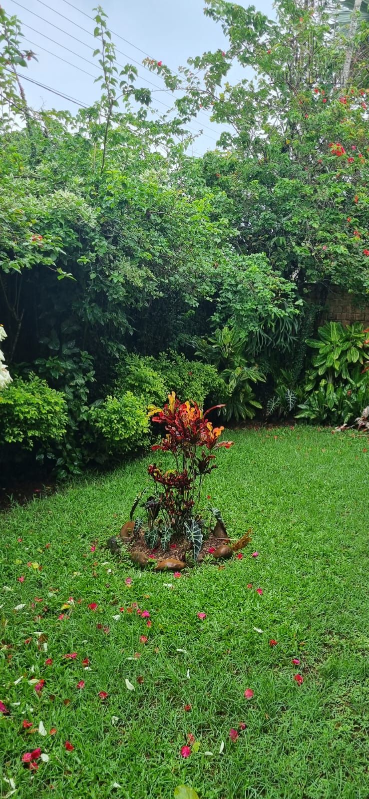 Casa, 7 quartos, 245 m² - Foto 38