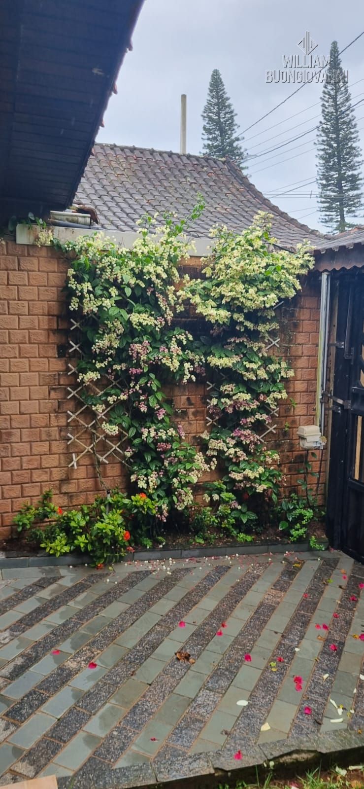 Casa, 7 quartos, 245 m² - Foto 45