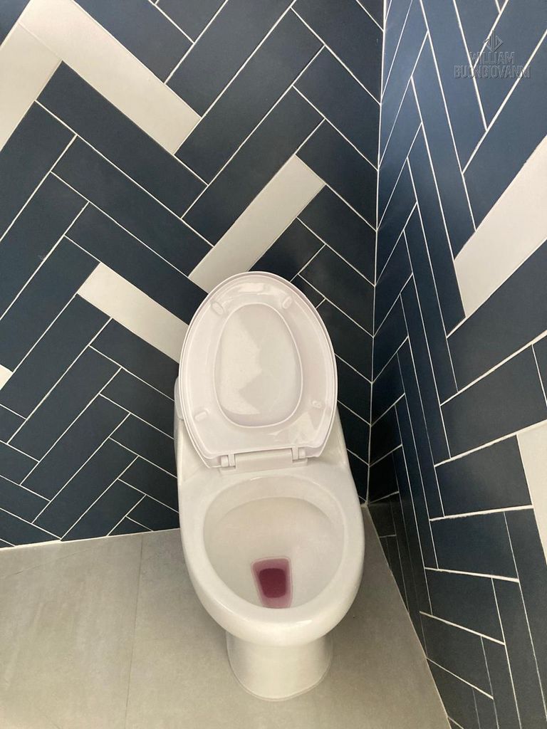 Casa, 4 quartos, 165 m² - Foto 18