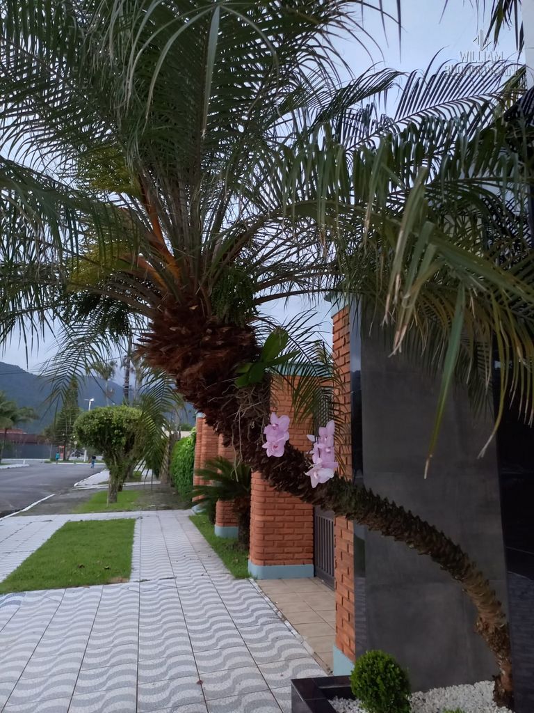 Casa, 4 quartos, 280 m² - Foto 2