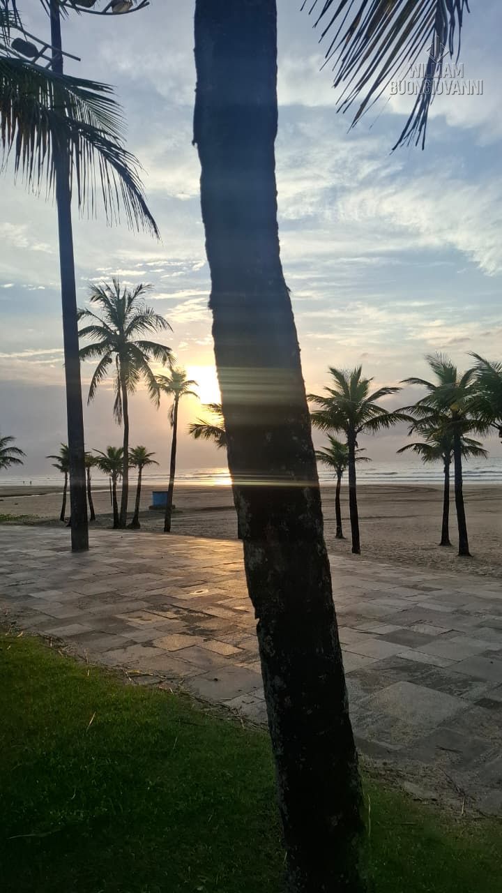 Casa, 4 quartos, 280 m² - Foto 14