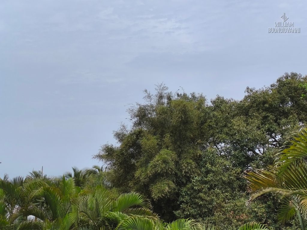 Apartamento, 2 quartos, 91 m² - Foto 53