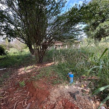 PLANTAÇÕES