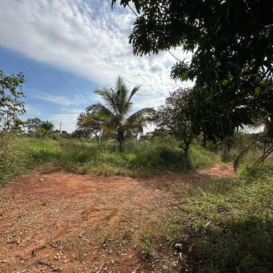 PLANTAÇÕES