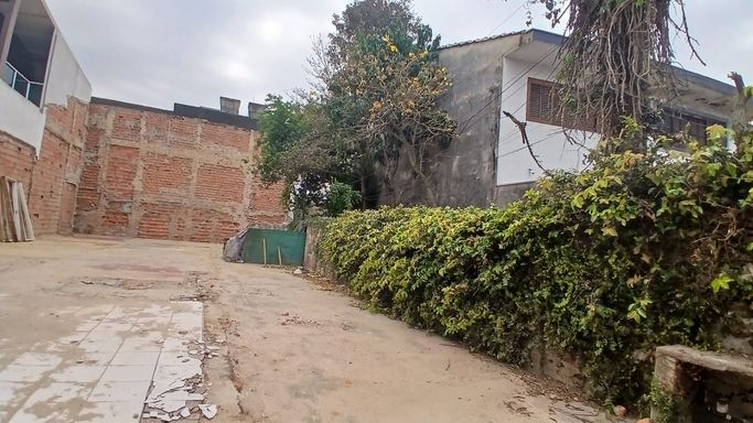 TerrenoLargo13