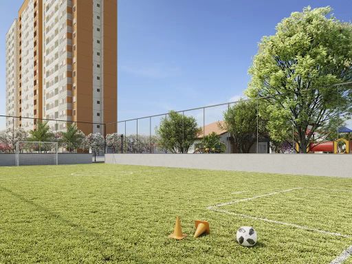 Mini Campo