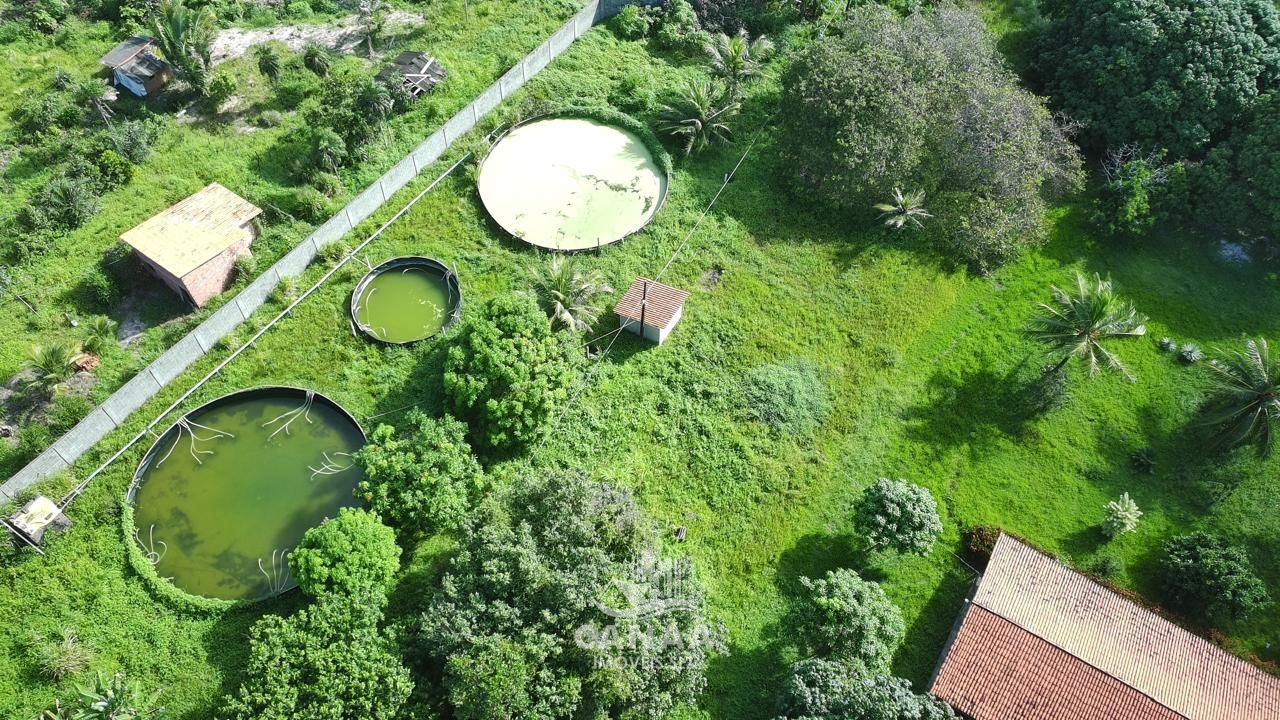 Sítio, 4 quartos, 2 hectares - Foto 2