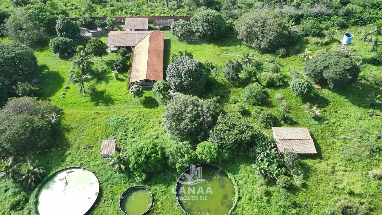 Sítio, 4 quartos, 2 hectares - Foto 4