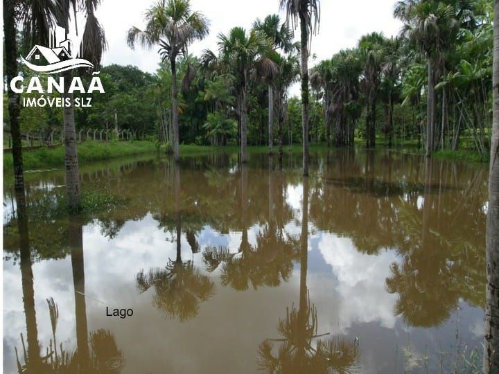 Sítio à venda com 4 quartos, 34000m² - Foto 9