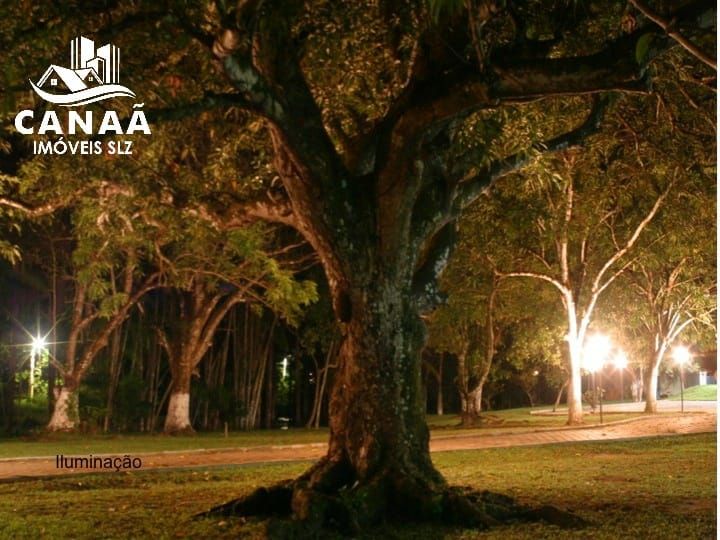 Sítio à venda com 4 quartos, 34000m² - Foto 10