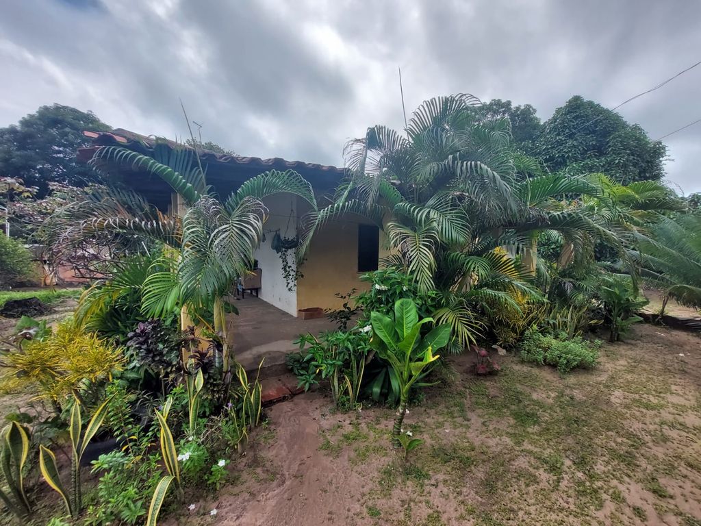 Sítio, 2 quartos, 139 hectares - Foto 4