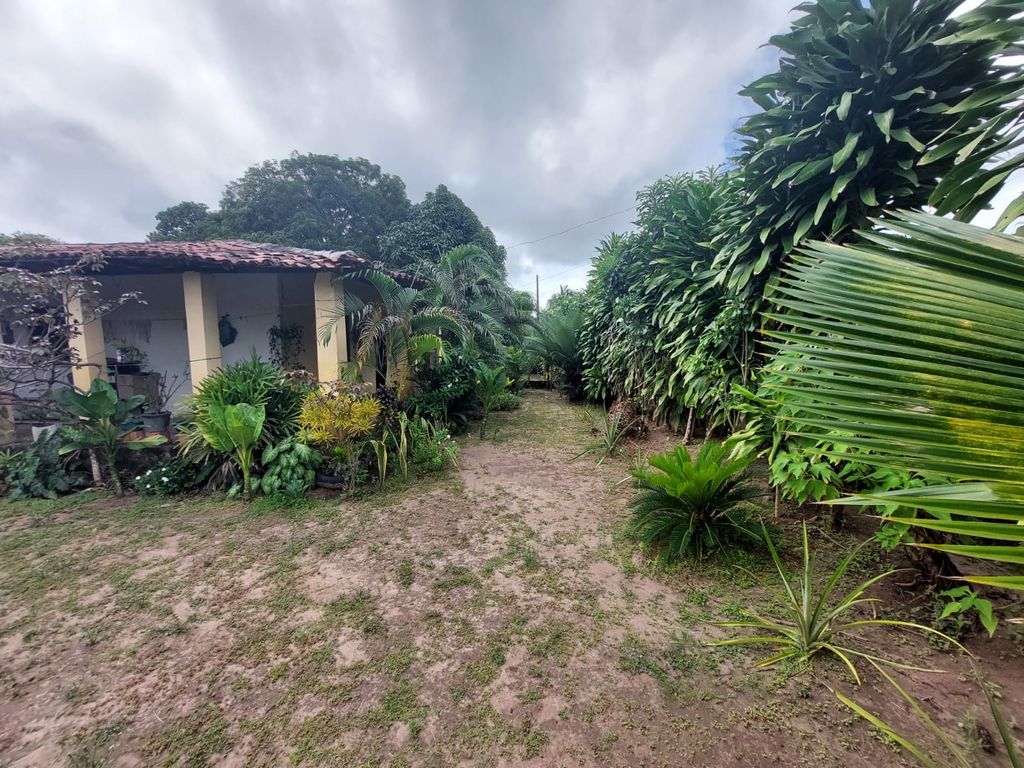 Sítio, 2 quartos, 139 hectares - Foto 3