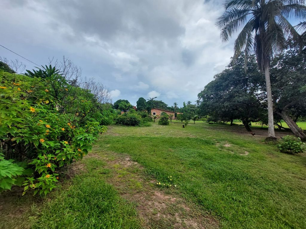 Sítio, 2 quartos, 139 hectares - Foto 19