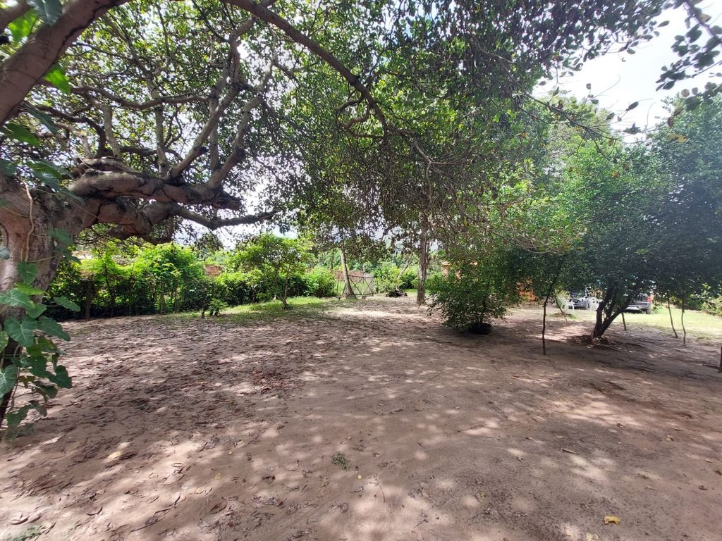 Sítio, 2 quartos, 139 hectares - Foto 15