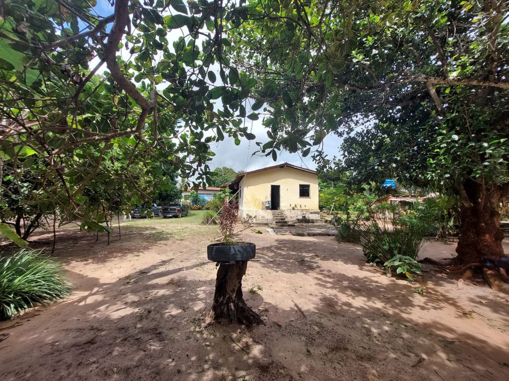 Sítio, 2 quartos, 139 hectares - Foto 14