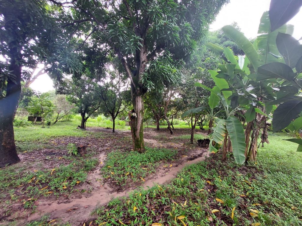 Sítio, 2 quartos, 139 hectares - Foto 16