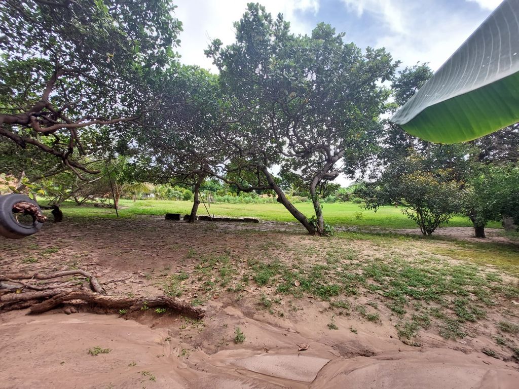 Sítio, 2 quartos, 139 hectares - Foto 13