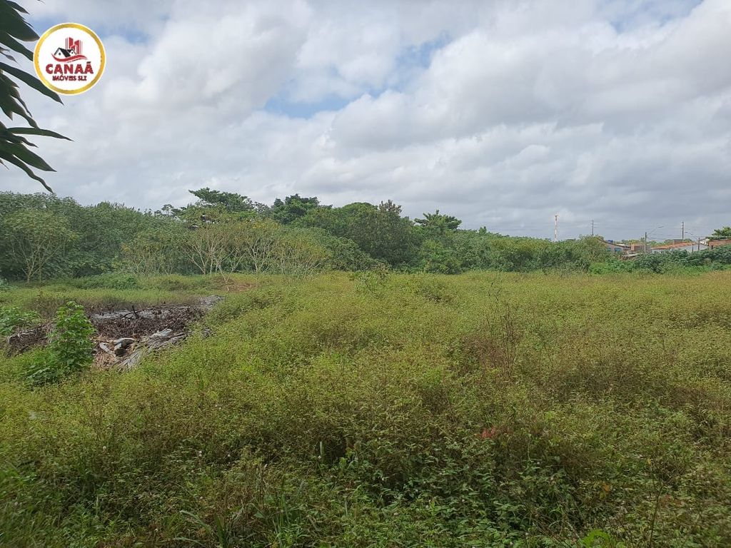 Terreno, 6 hectares - Foto 19