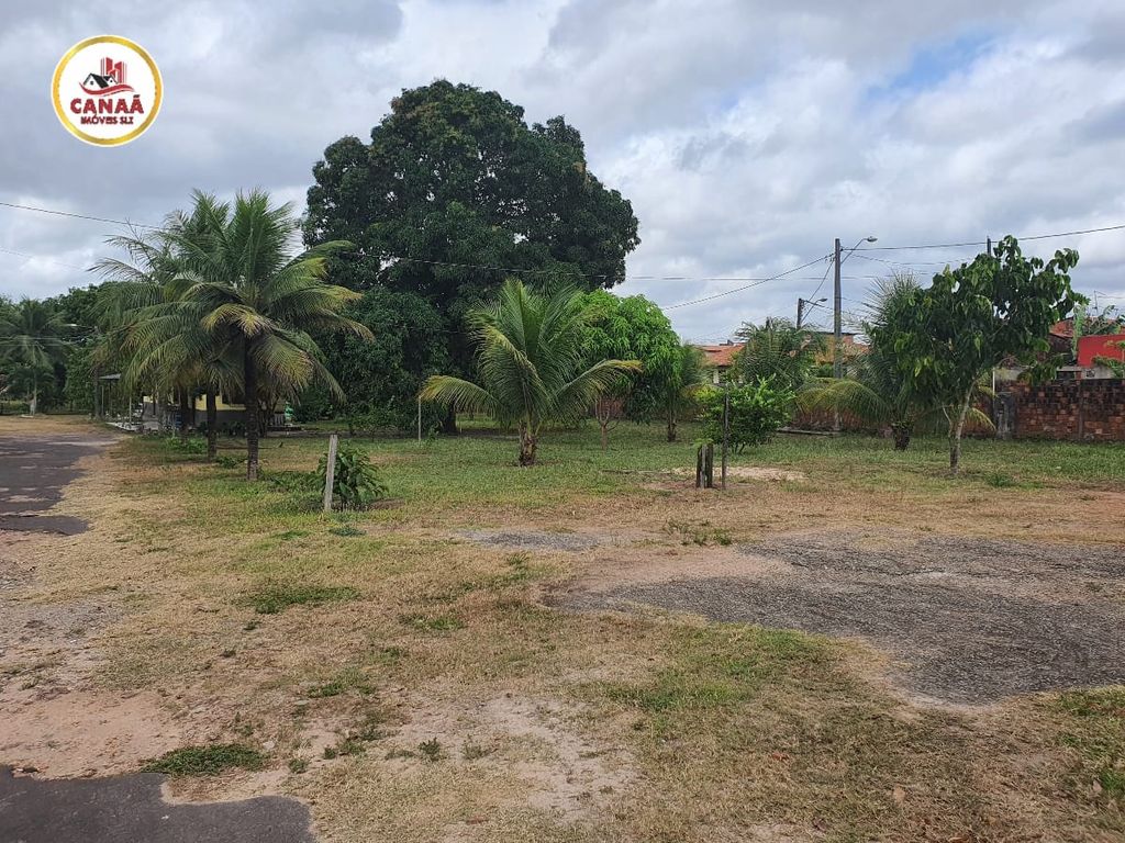 Terreno, 6 hectares - Foto 14