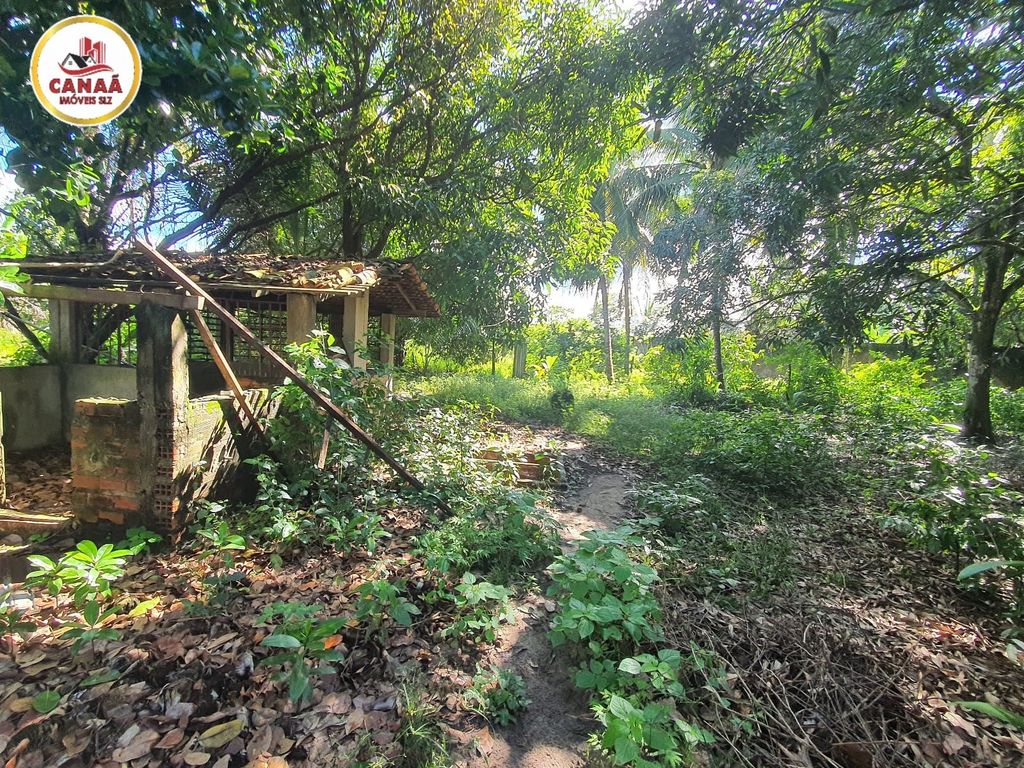 Terreno, 2 hectares - Foto 9