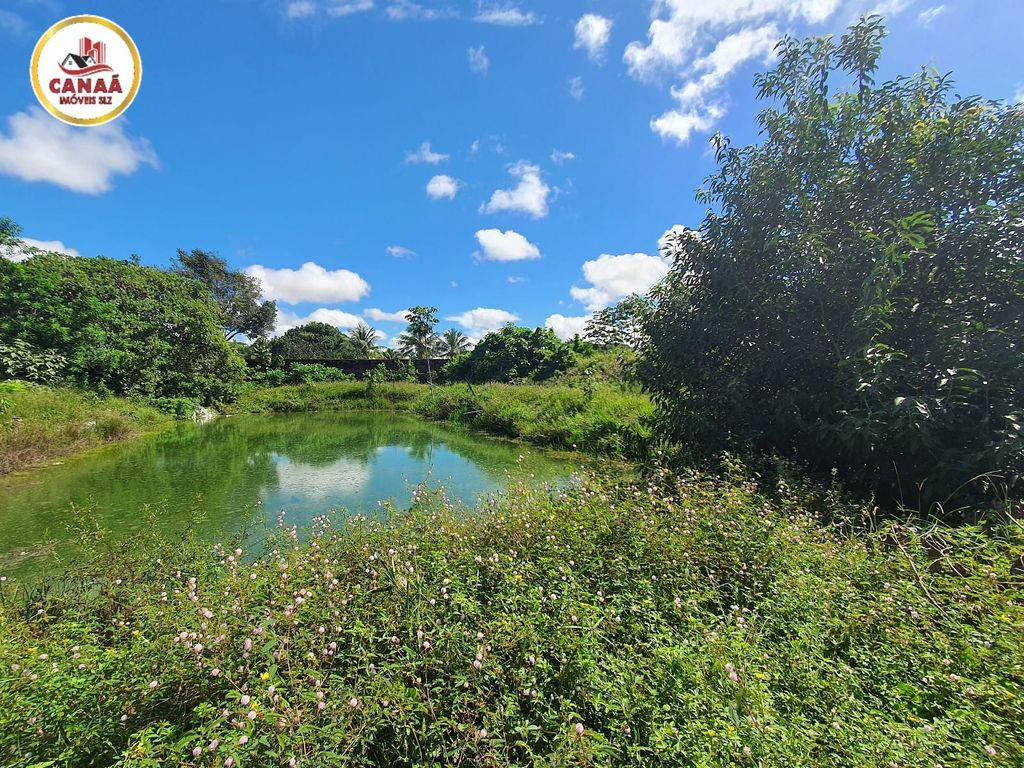 Terreno, 2 hectares - Foto 11