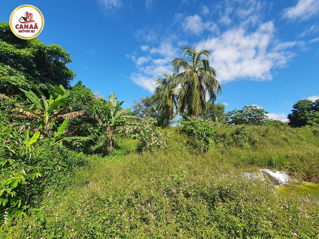 Terreno, 2 hectares - Foto 10