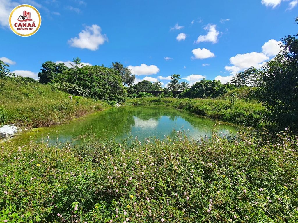 Terreno, 2 hectares - Foto 12