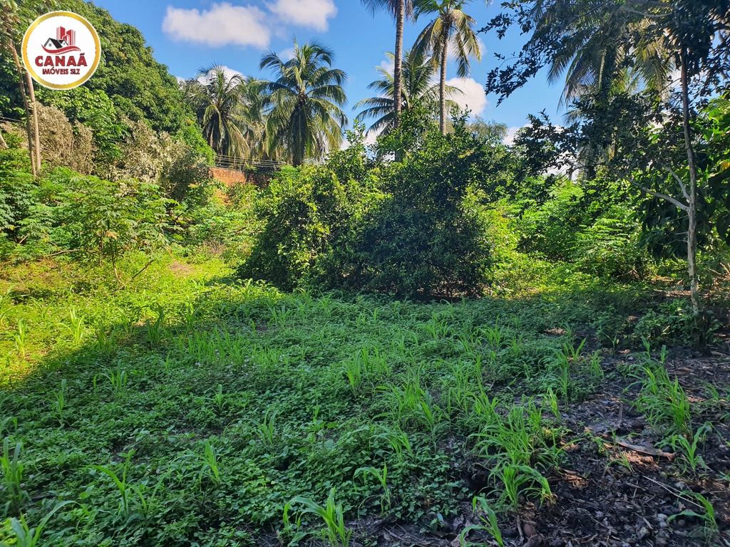 Terreno, 2 hectares - Foto 16