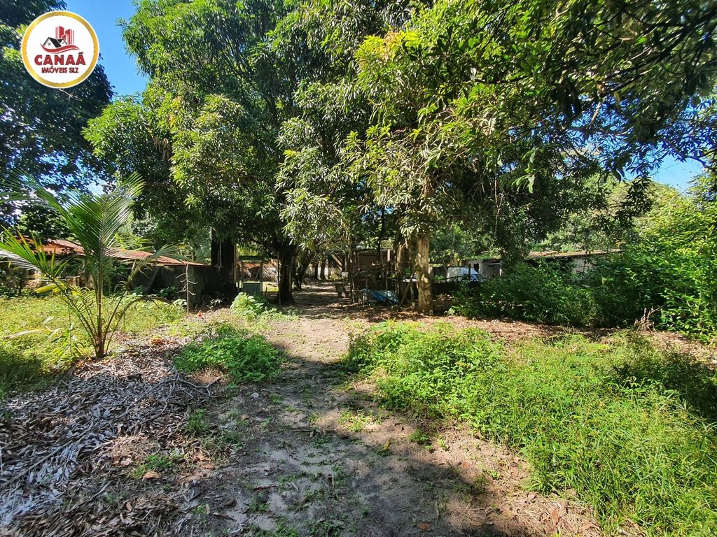 Terreno, 2 hectares - Foto 8