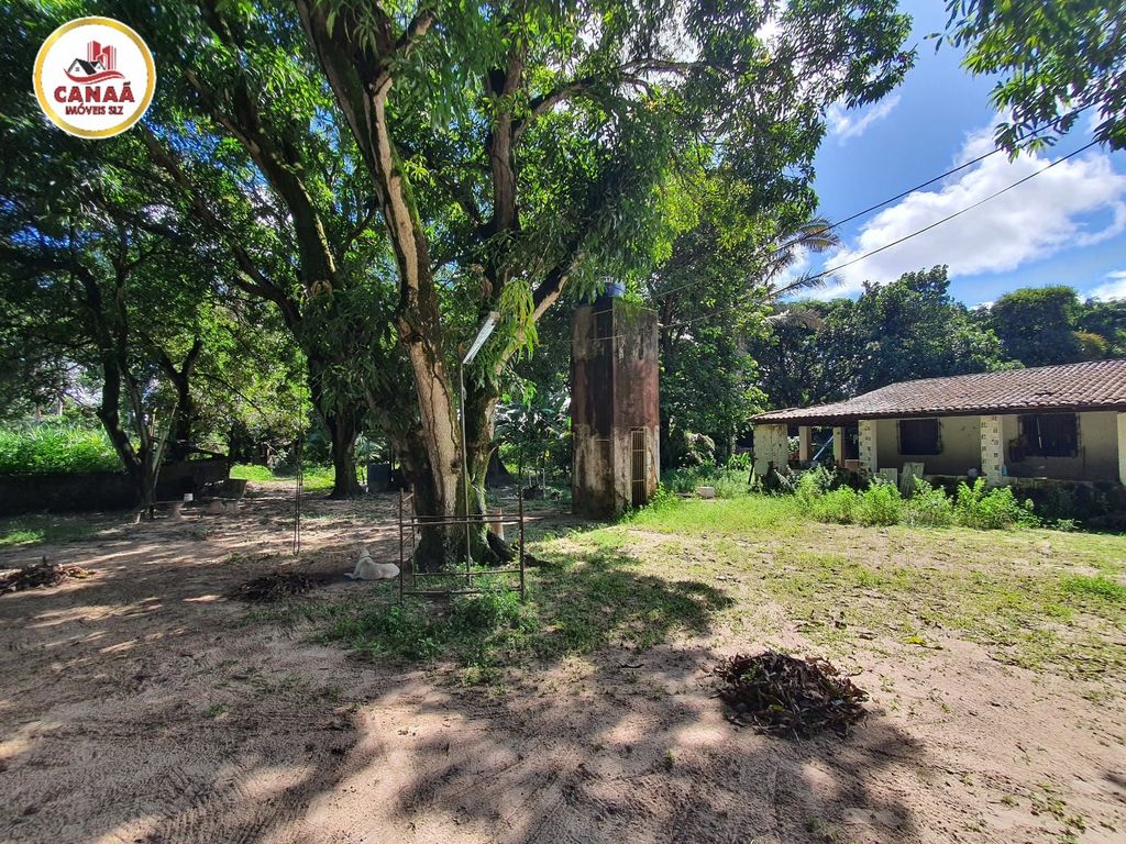 Terreno, 2 hectares - Foto 18