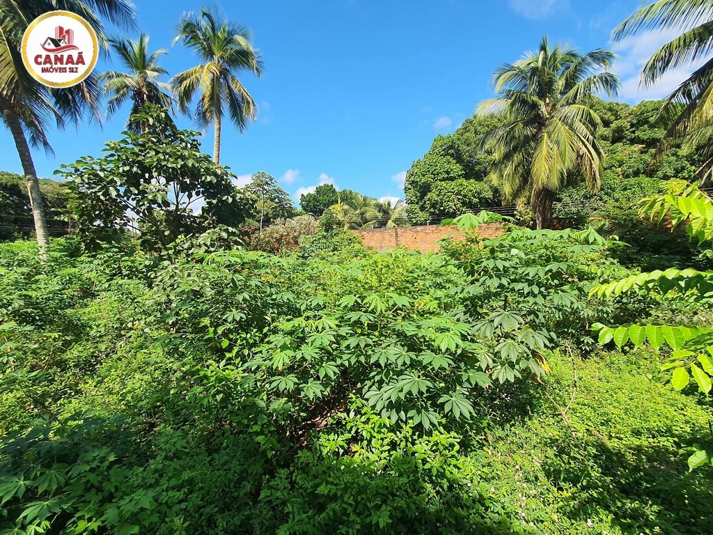 Terreno, 2 hectares - Foto 13