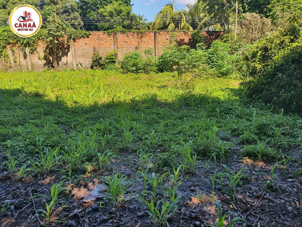 Terreno, 2 hectares - Foto 15