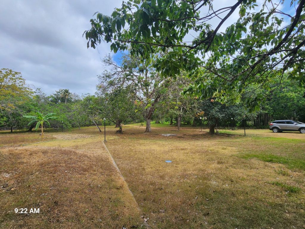 Sítio à venda com 4 quartos, 34000m² - Foto 11