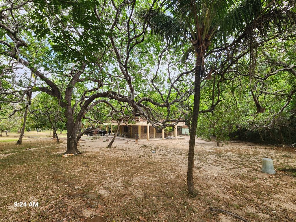 Sítio à venda com 4 quartos, 34000m² - Foto 16