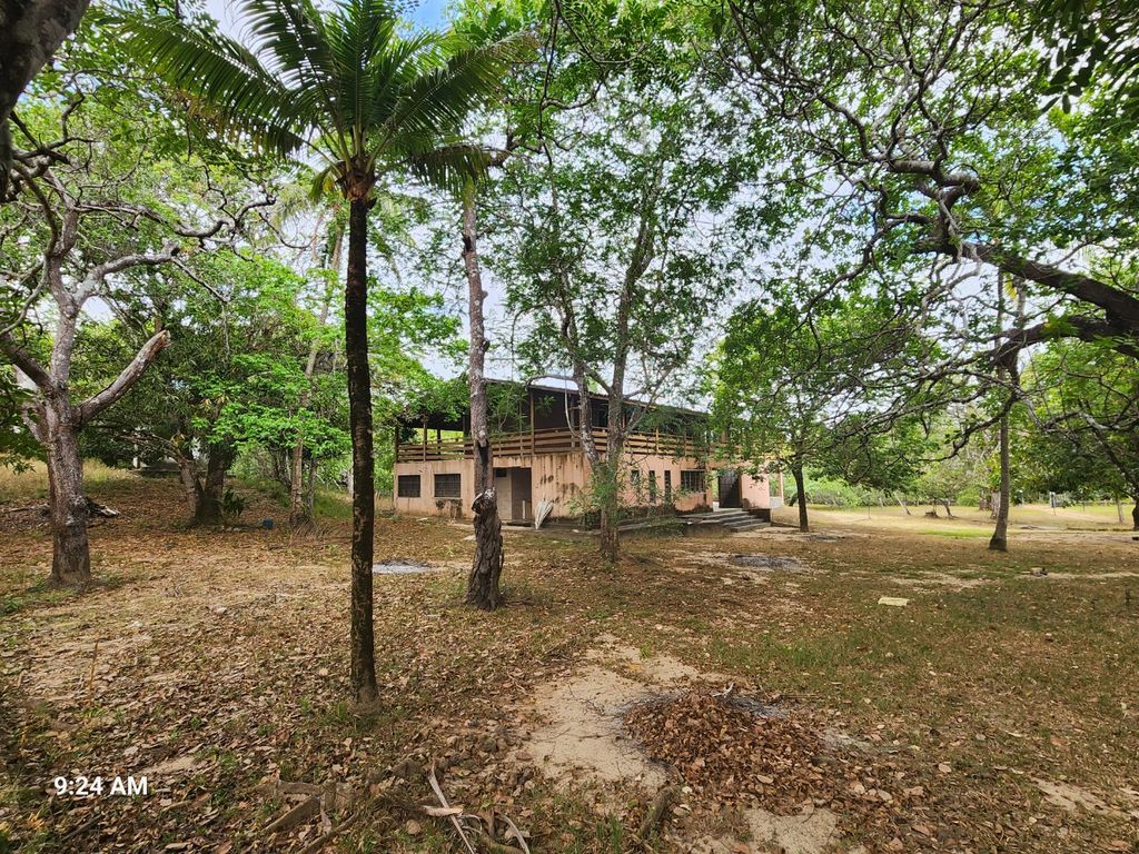 Sítio à venda com 4 quartos, 34000m² - Foto 17