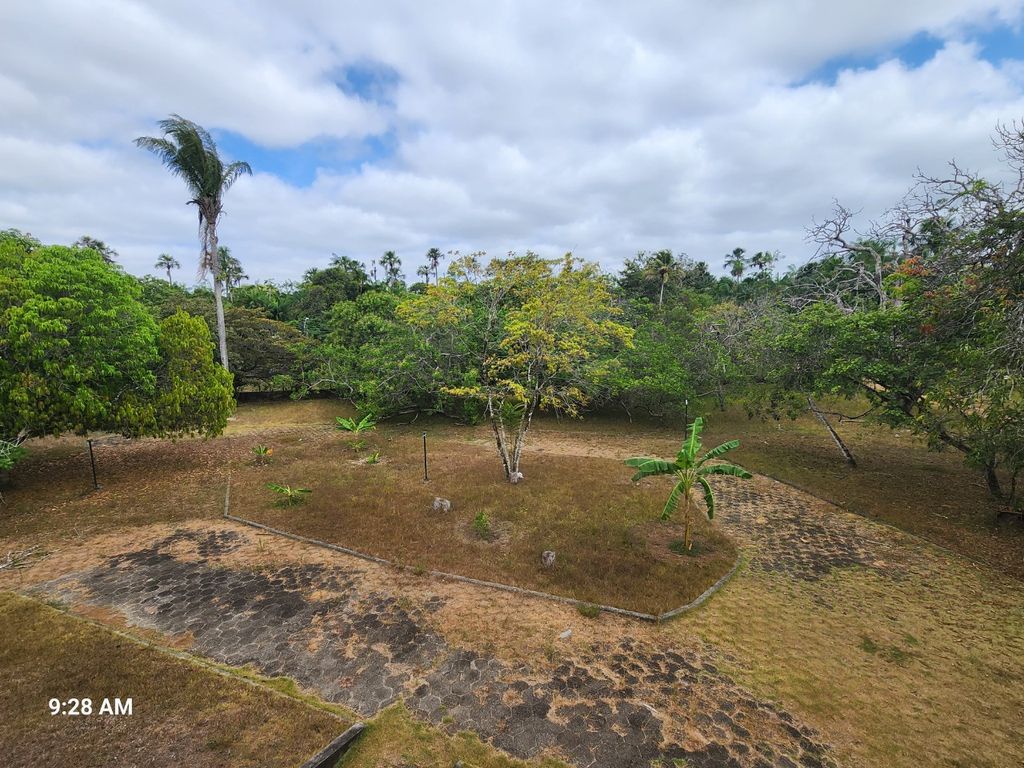 Sítio à venda com 4 quartos, 34000m² - Foto 22