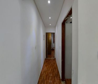 Circulação