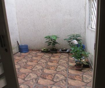 Jardim interno