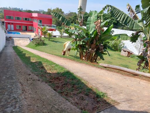 Foto 01