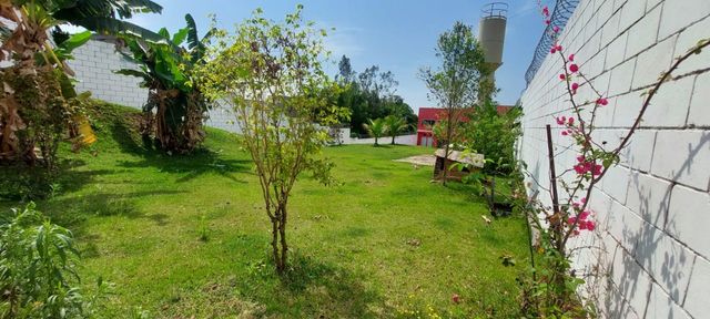 Foto 24