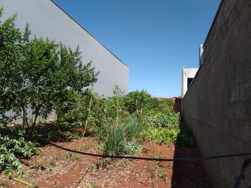 Foto 01