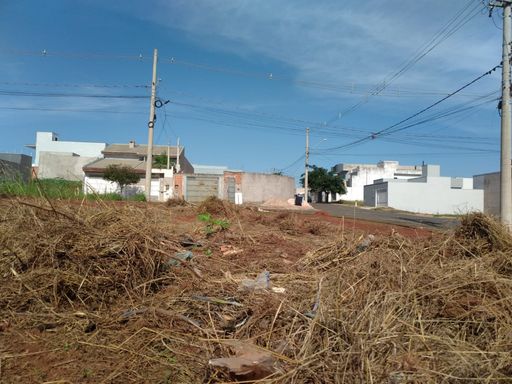 Foto 02
