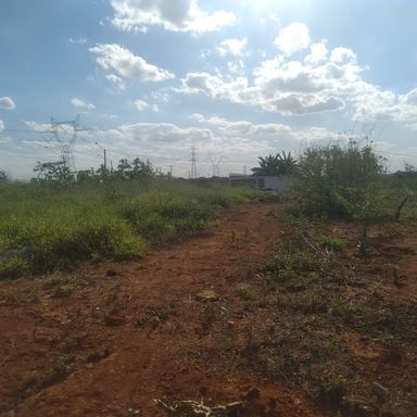 Foto 08