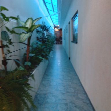 Foto 04