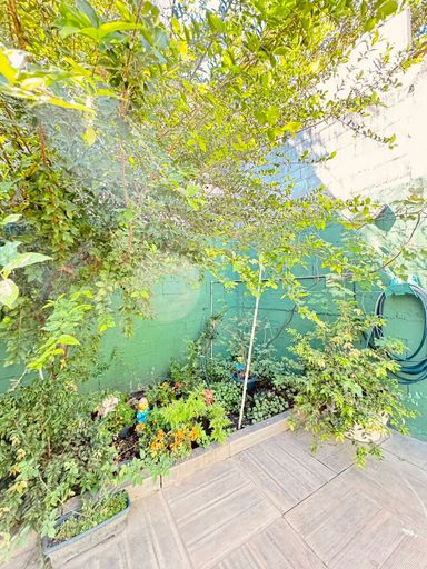 Quintal com árvores frutíferas